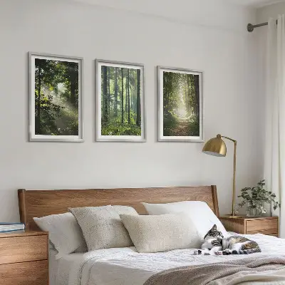 Grüne Wälder mit Lichtstrahlen 3er-Set Bilder mit Rahmen