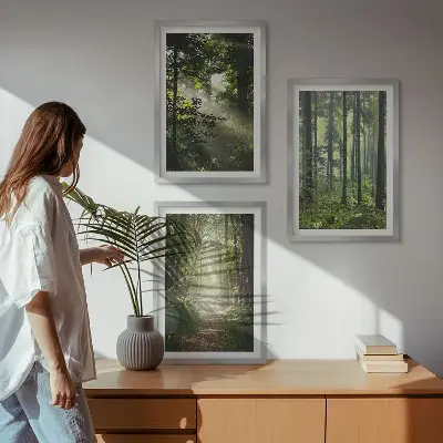 Grüne Wälder mit Lichtstrahlen 3er-Set Bilder mit Rahmen