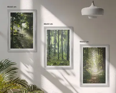 Grüne Wälder mit Lichtstrahlen 3er-Set Bilder mit Rahmen