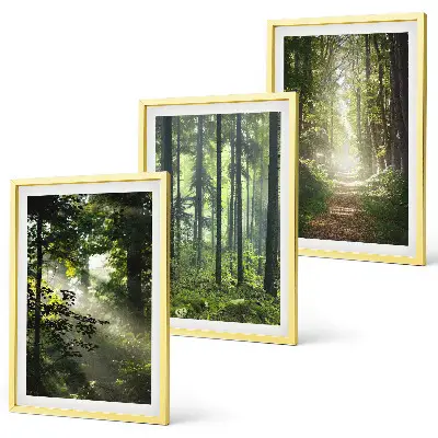Grüne Wälder mit Lichtstrahlen 3er-Set Bilder mit Rahmen