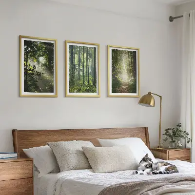 Grüne Wälder mit Lichtstrahlen 3er-Set Bilder mit Rahmen