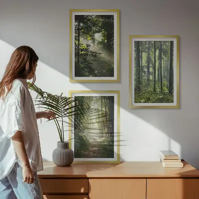 Grüne Wälder mit Lichtstrahlen 3er-Set Bilder mit Rahmen