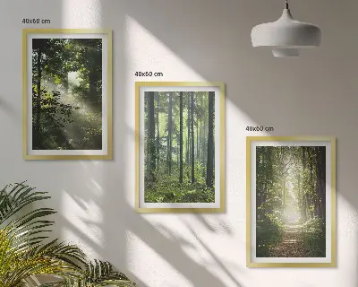 Grüne Wälder mit Lichtstrahlen 3er-Set Bilder mit Rahmen