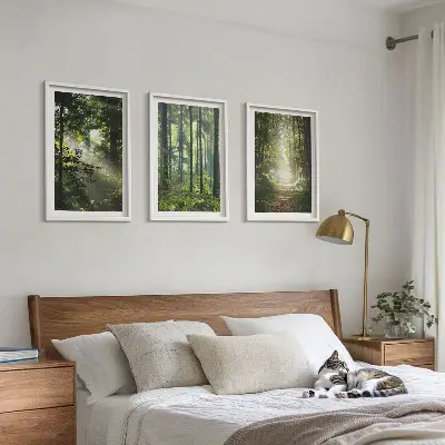 Grüne Wälder mit Lichtstrahlen 3er-Set Bilder mit Rahmen