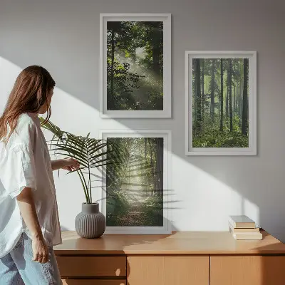 Grüne Wälder mit Lichtstrahlen 3er-Set Bilder mit Rahmen