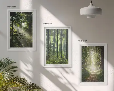 Grüne Wälder mit Lichtstrahlen 3er-Set Bilder mit Rahmen