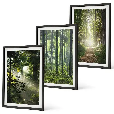 Grüne Wälder mit Lichtstrahlen 3er-Set Bilder mit Rahmen