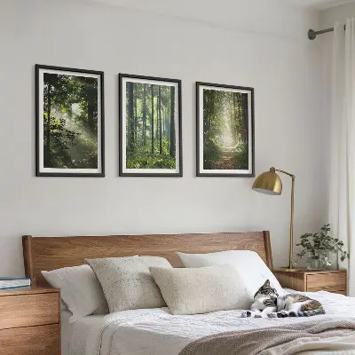 Grüne Wälder mit Lichtstrahlen 3er-Set Bilder mit Rahmen