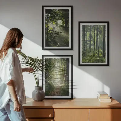 Grüne Wälder mit Lichtstrahlen 3er-Set Bilder mit Rahmen