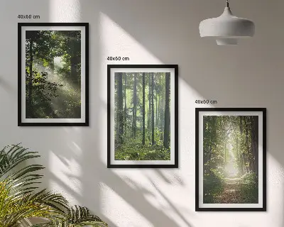 Grüne Wälder mit Lichtstrahlen 3er-Set Bilder mit Rahmen