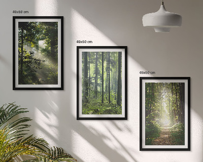 Bilder-3er-set mit rahmen Grüne Wälder mit Lichtstrahlen