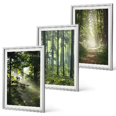 Grüne Wälder mit Lichtstrahlen 3er-Set Bilder mit Rahmen