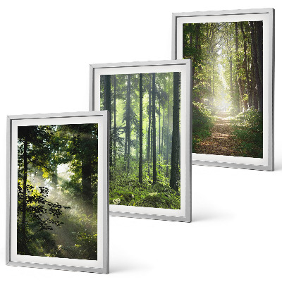 Bilder-3er-set mit rahmen Grüne Wälder mit Lichtstrahlen