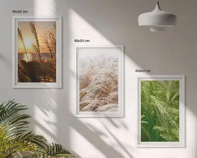 Gerahmtes Bilderset mit dem Motiv farbenfrohe Gräser