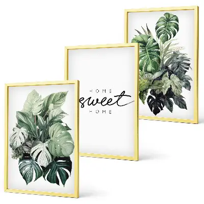 3er-Set Bilder mit Rahmen Pflanzen-Motiv mit Schriftzug Sweet Home
