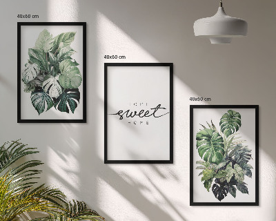 Bilder-3er-set mit rahmen Pflanzen mit der Aufschrift „Sweet Home“