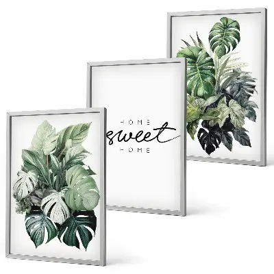 3er-Set Bilder mit Rahmen Pflanzen-Motiv mit Schriftzug Sweet Home