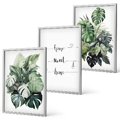 Aquarell Monstera Blätter gerahmtes Bilderset