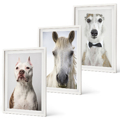 Gerahmtes bilderset Elegante Porträts von Hunden und Pferden