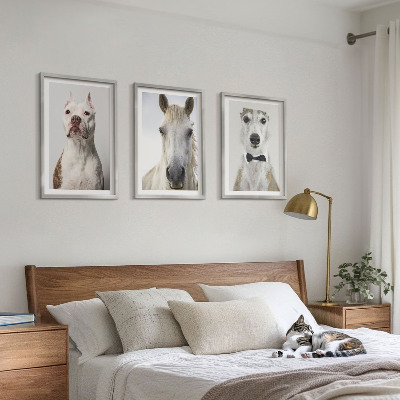 Gerahmtes bilderset Elegante Porträts von Hunden und Pferden