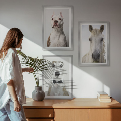 Gerahmtes bilderset Elegante Porträts von Hunden und Pferden