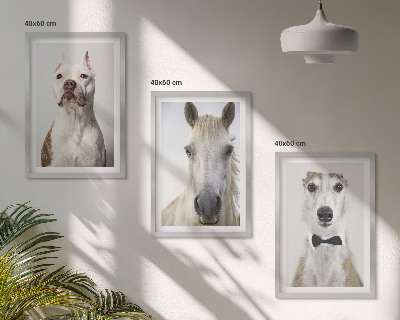 Gerahmtes bilderset Elegante Porträts von Hunden und Pferden