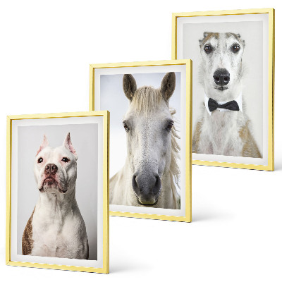 Gerahmtes bilderset Elegante Porträts von Hunden und Pferden