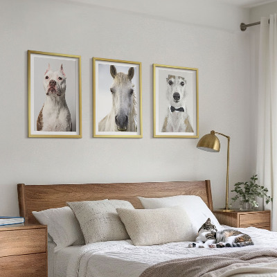 Gerahmtes bilderset Elegante Porträts von Hunden und Pferden
