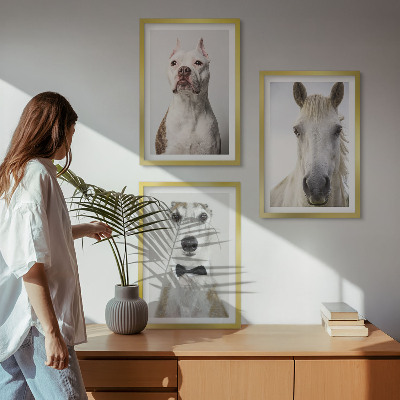 Gerahmtes bilderset Elegante Porträts von Hunden und Pferden