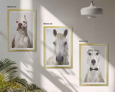 Gerahmtes bilderset Elegante Porträts von Hunden und Pferden