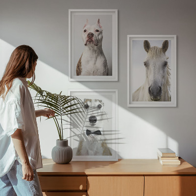 Gerahmtes bilderset Elegante Porträts von Hunden und Pferden
