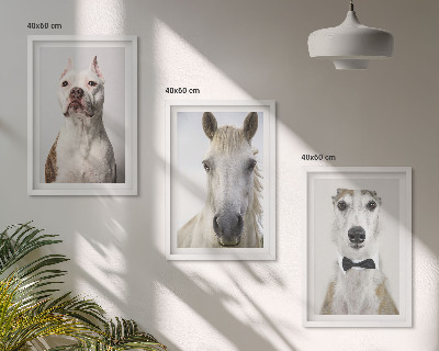 Gerahmtes bilderset Elegante Porträts von Hunden und Pferden