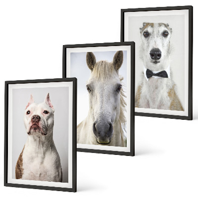 Gerahmtes bilderset Elegante Porträts von Hunden und Pferden