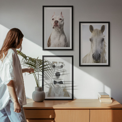 Gerahmtes bilderset Elegante Porträts von Hunden und Pferden