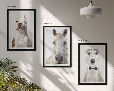 Gerahmtes bilderset Elegante Porträts von Hunden und Pferden