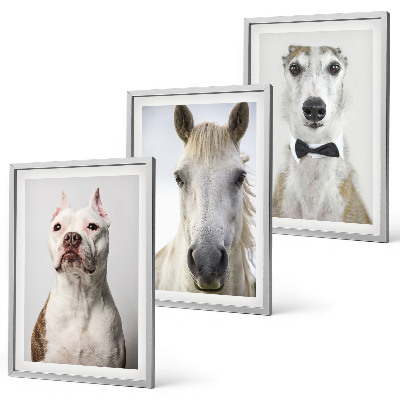 Gerahmtes bilderset Elegante Porträts von Hunden und Pferden
