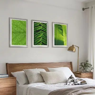 Gerahmtes Bilderset mit Makrofotografie von tropischen Blättern