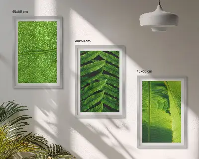 Gerahmtes Bilderset mit Makrofotografie von tropischen Blättern