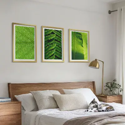 Gerahmtes Bilderset mit Makrofotografie von tropischen Blättern
