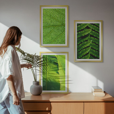 Gerahmtes bilderset Makrofotografie von tropischen Blättern