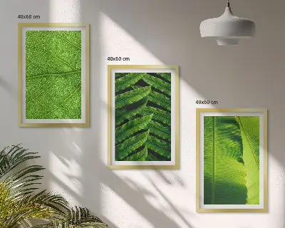 Gerahmtes Bilderset mit Makrofotografie von tropischen Blättern