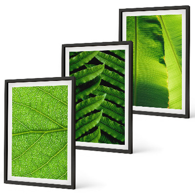 Gerahmtes bilderset Makrofotografie von tropischen Blättern