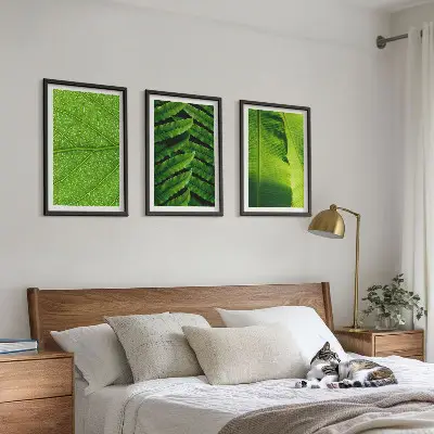 Gerahmtes Bilderset mit Makrofotografie von tropischen Blättern
