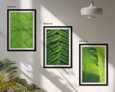 Gerahmtes Bilderset mit Makrofotografie von tropischen Blättern