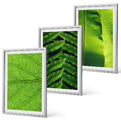 Gerahmtes bilderset Makrofotografie von tropischen Blättern