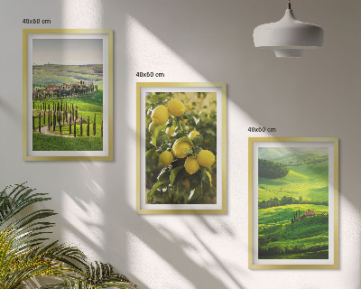 Bilder-3er-set mit rahmen Italienische Zitrusfrüchte und Hügel