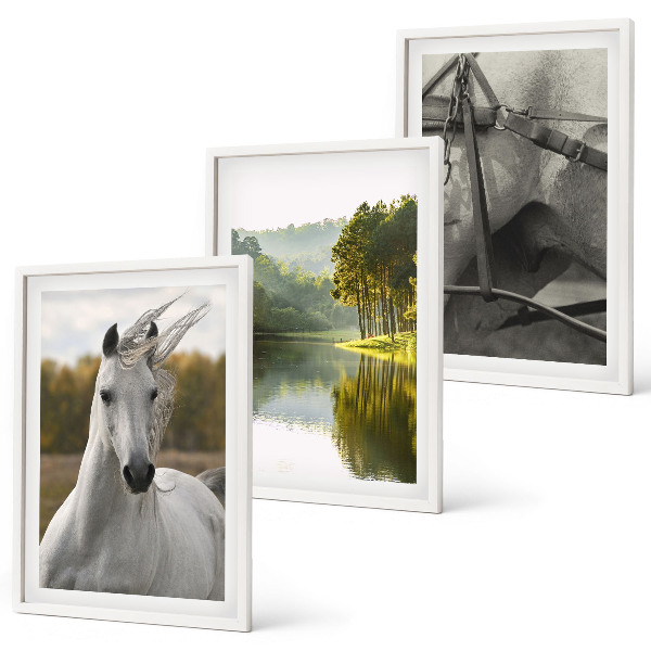 Bilder-3er-set mit rahmen Natur des Flusses White Horses