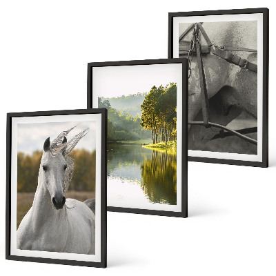 Bilder-3er-set mit rahmen Natur des Flusses White Horses