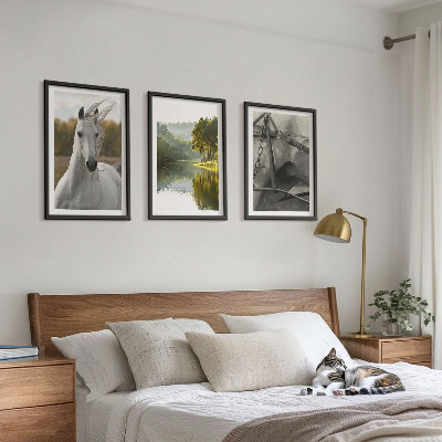 Bilder-3er-set mit rahmen Natur des Flusses White Horses