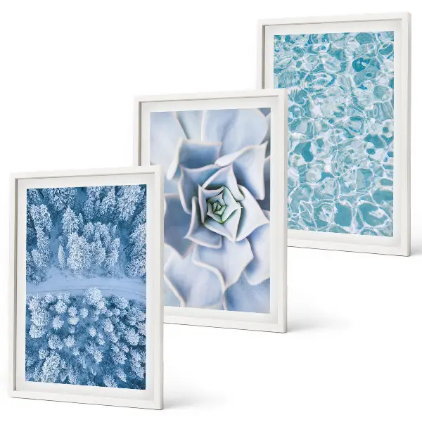 Bilder-3er-Set mit Rahmen Winterwald mit blauer Blume und Wasser